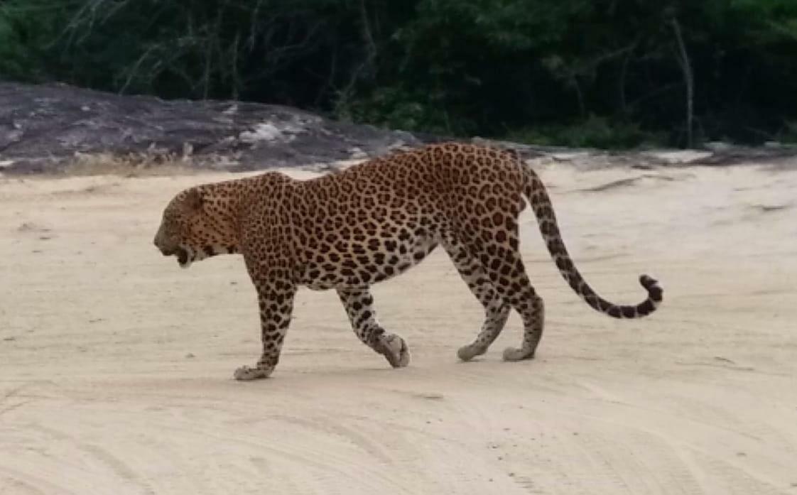 Amawin Resort Hambantota Zewnętrze zdjęcie