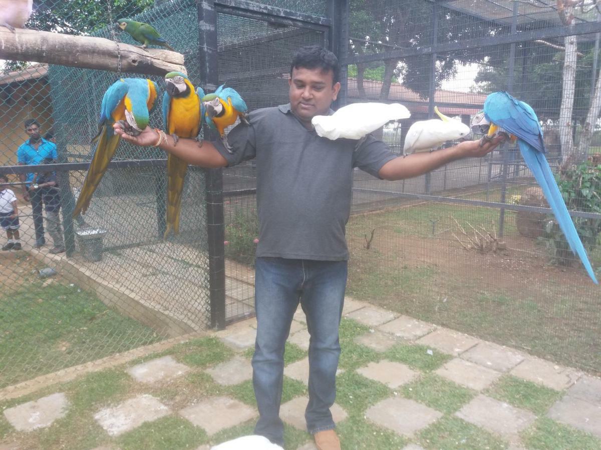 Amawin Resort Hambantota Zewnętrze zdjęcie